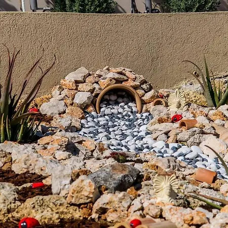 Avocado Offering Peace And Relaxation