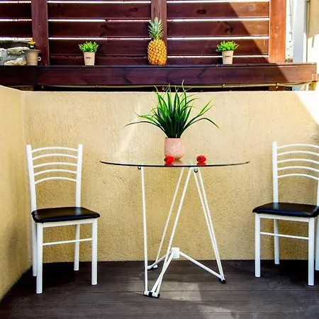 Avocado Offering Peace And Relaxation