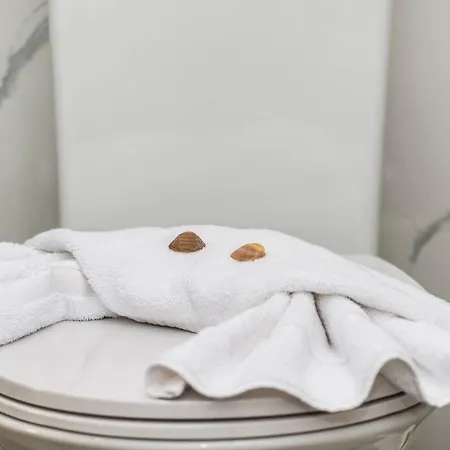 Avocado Offering Peace And Relaxation